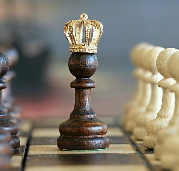 commercial strategy analysis insights